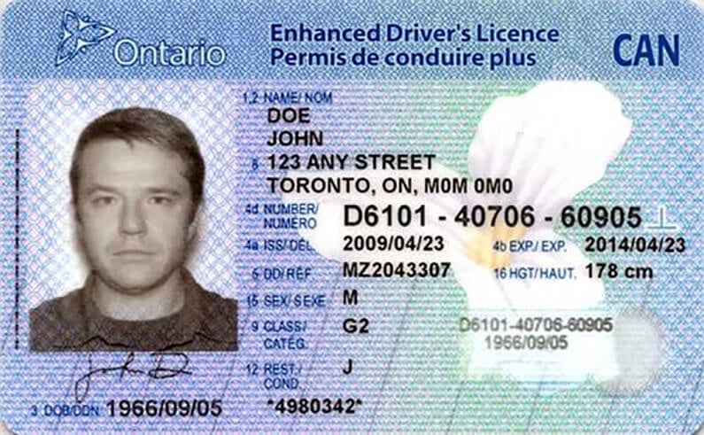 Führerschein (CAN) - Driving License - Shop-Translation.de - Übersetzungsbüro ReSartus 