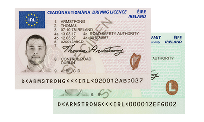 Führerschein (IRL) Driving Licence